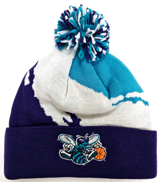 Charlotte Hornets NBA  Premium Pom Knit Hat